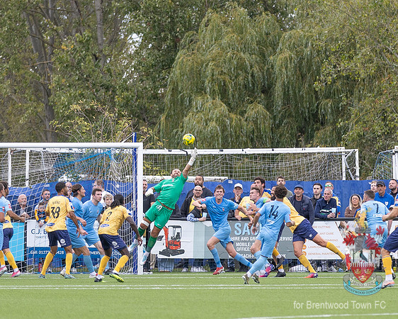 BTFC v D&R-115