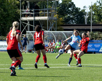 BTFC W-5