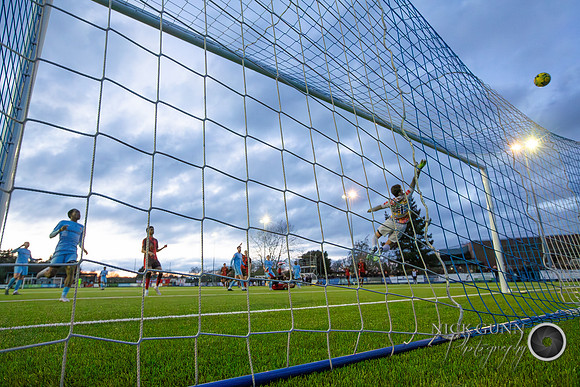 BTFC-BRI-41