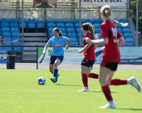 BTFC W-10