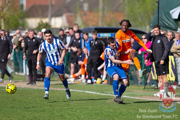 BTFC WROX-44