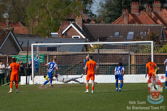 BTFC WROX-33