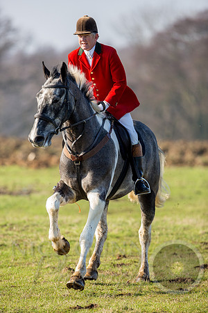 Essex Hunt 13.2.17 -18