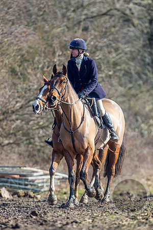 Essex Hunt 13.2.17 -24