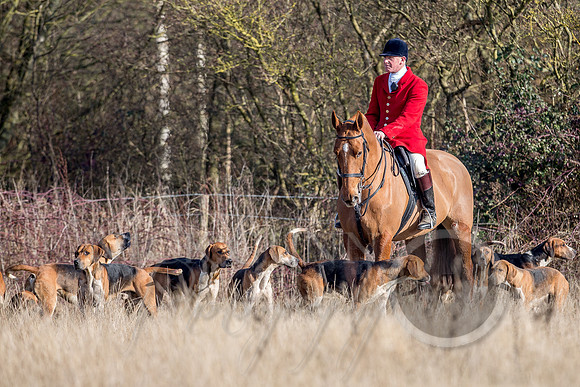 Essex Hunt 13.2.17 -43