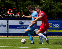 BTFC Horn -12