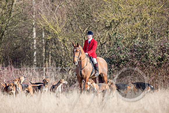 Essex Hunt 13.2.17 -44