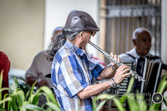 Cuba17 n -50