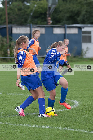 _MG_3460