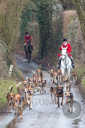 Essex Hunt Warwick-26