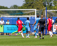 BTFC Horn -13