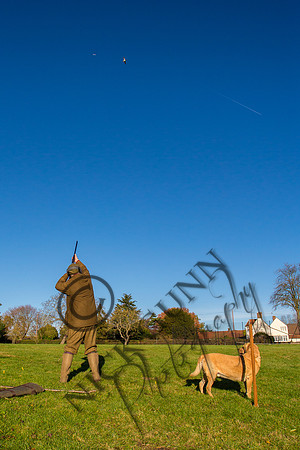 Schwier Farm 25.11.16-53