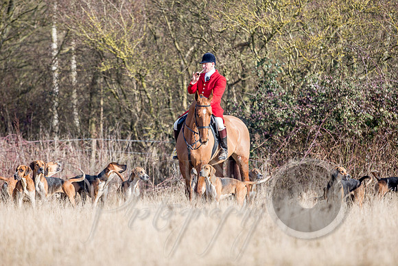 Essex Hunt 13.2.17 -45