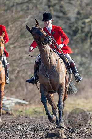 Essex Hunt 13.2.17 -23