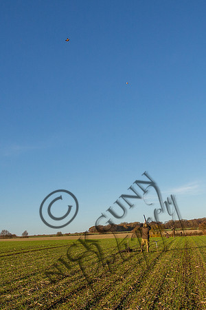 Schwier Farm 25.11.16-77
