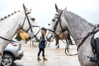 Essex Hunt Warwick-14