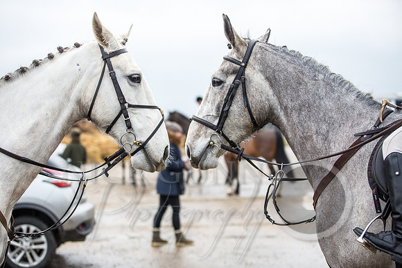 Essex Hunt Warwick-14