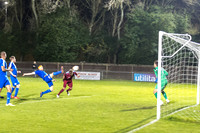 BTFC311017-6