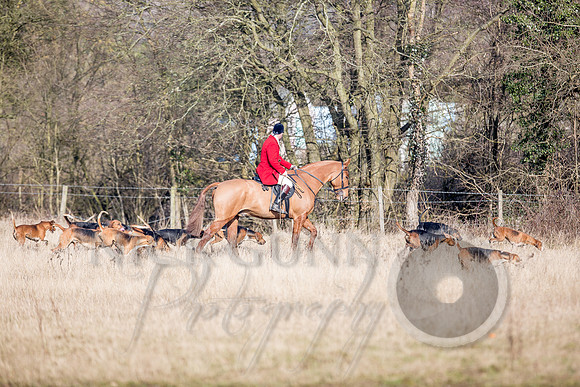 Essex Hunt 13.2.17 -42