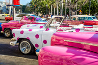 Cuba17 n -9