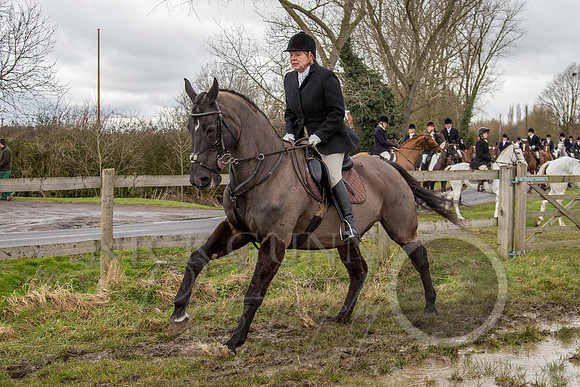 Essex Hunt 25.2.15-71