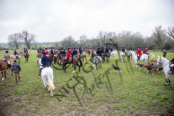 Essex Hunt 16.3.15-28
