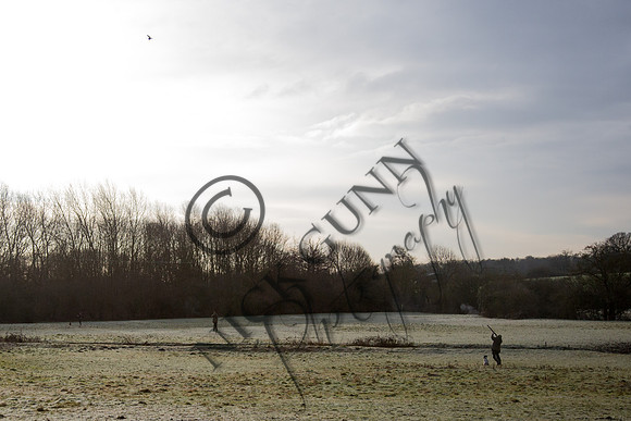 Beaters Shoot 17.1.15-5