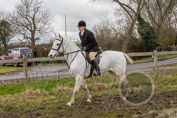 Essex Hunt 25.2.15-99