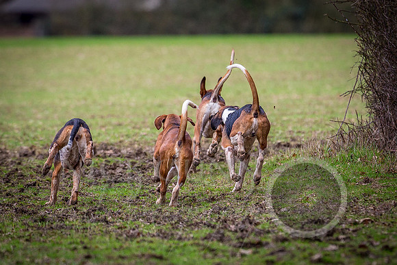 Hunt 22.2.17 farmers meet-49