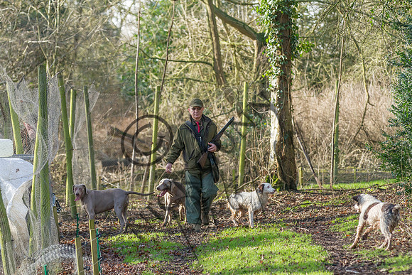 Sheering Shoot 13.1.15-13