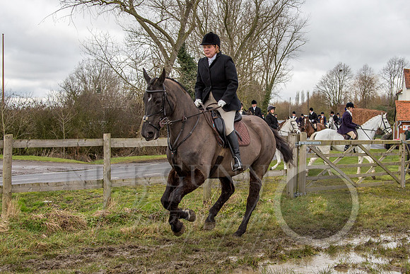 Essex Hunt 25.2.15-70