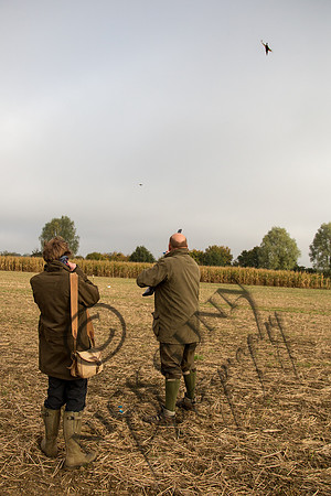 coop-19