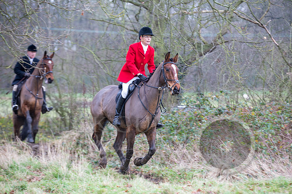 Essex Hunt 1.1.15-76