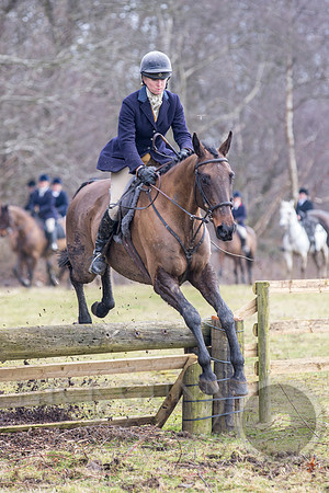 Essex Hunt 25.2.15-117