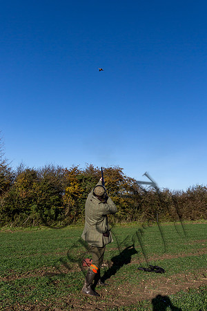schwier shoot 11.17-26