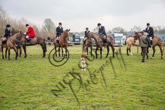 Essex Hunt 16.3.15-25