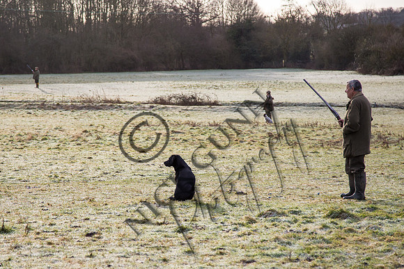 Beaters Shoot 17.1.15-7