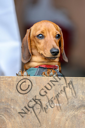 point to point 2015-28