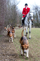 Essex Hunt 14.3.15-19