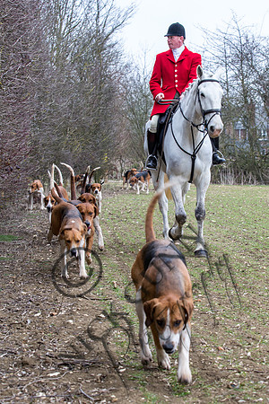 Essex Hunt 14.3.15-19