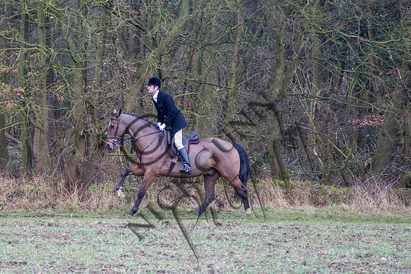 Essex Hunt 28.2.15-47