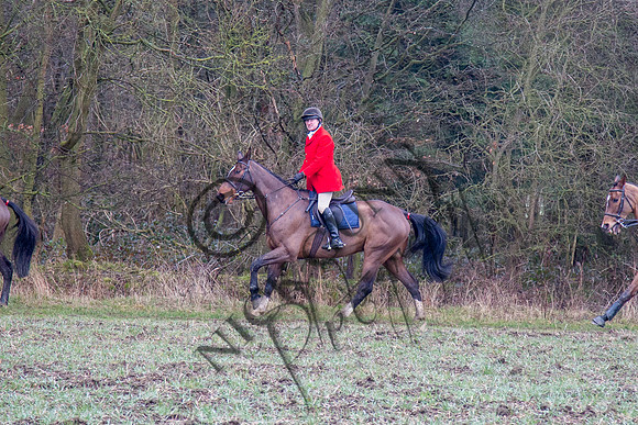 Essex Hunt 28.2.15-32