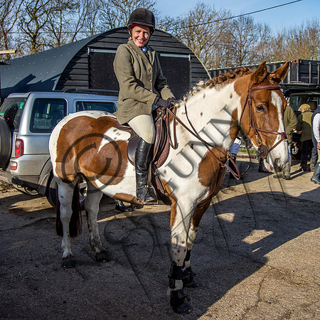 Essex Hunt 2.2.15-2
