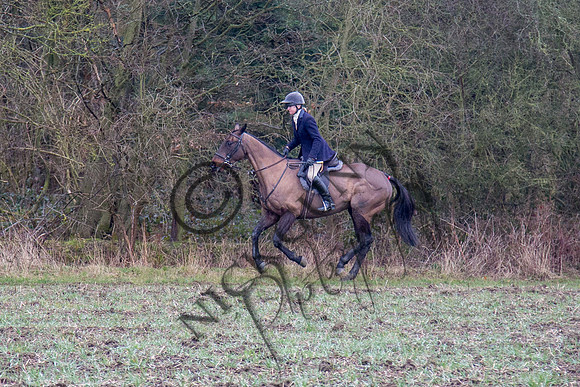 Essex Hunt 28.2.15-31