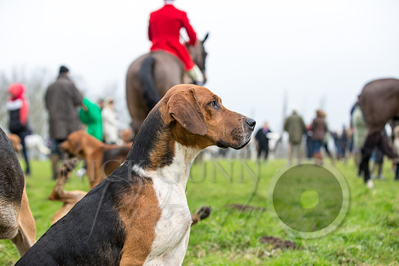 Essex Hunt 1.1.15-25