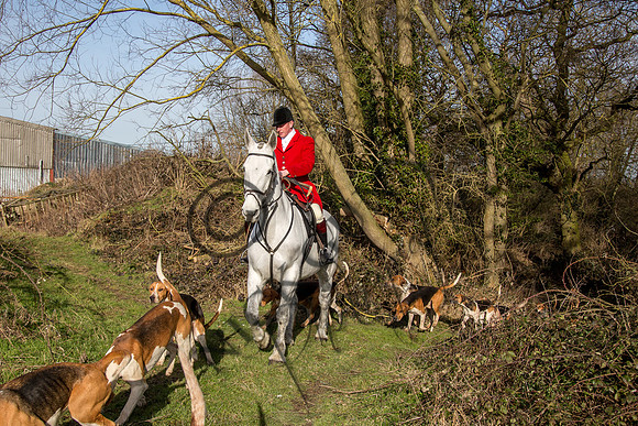 Essex Hunt 2.2.15-15