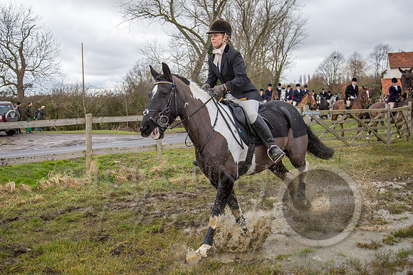 Essex Hunt 25.2.15-77
