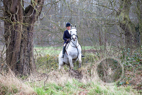Essex Hunt 1.1.15-65