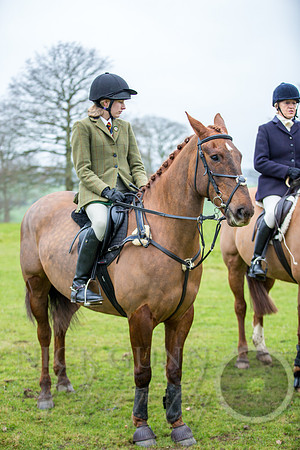 Essex Hunt 1.1.15-2