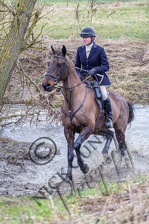 Essex Hunt 11.2.15-20